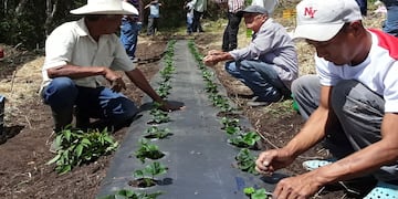 Eldorado será una de las sedes en las que se presentará el programa Potenciando Mentores.