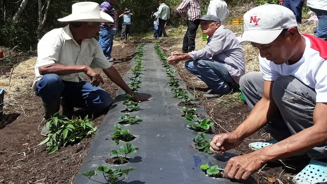 Eldorado será una de las sedes en las que se presentará el programa Potenciando Mentores.