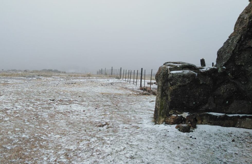Llegó la primavera y nieva en Los Gigantes
