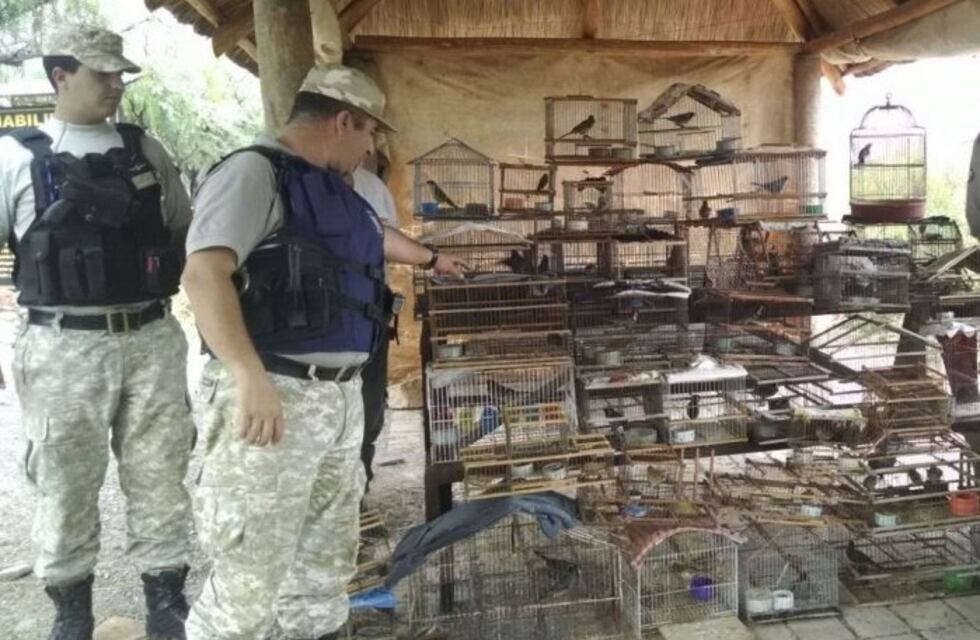 La Policía Rural recuperó más de 9.000 animales durante este año