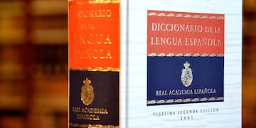 Llegan nuevas palabras al diccionario de la RAE: ‘machirulo’, ‘porsiacaso’, ‘tóxico’, ‘oscarizar’ y ‘perreo’