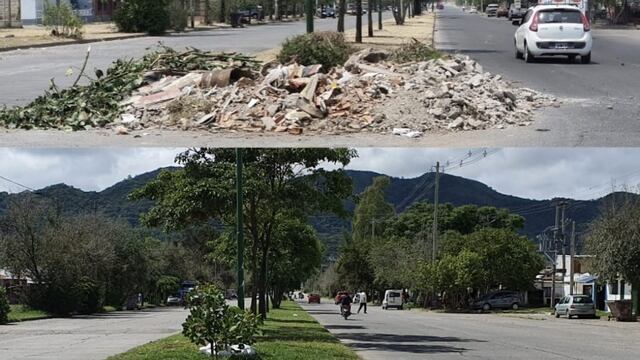 Vecinos de un barrio salteño plantaron árboles para erradicar un basural