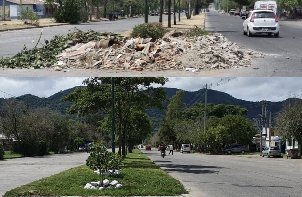 Vecinos de un barrio salteño plantaron árboles para erradicar un basural