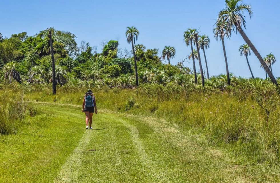 Mburucuyá cuna de historia chamamecera y naturaleza viva