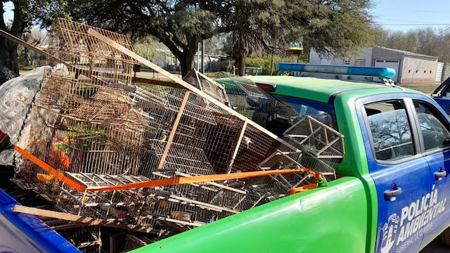 Policía ambiental secuestró jaulas y recuperó a las aves. (Gobierno de Córdoba).