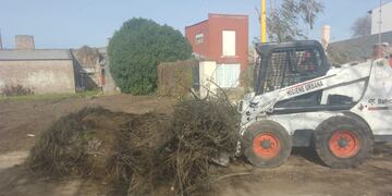 Tres Arroyos: Gestión Ambiental trabajó en la limpieza de basurales clandestinos