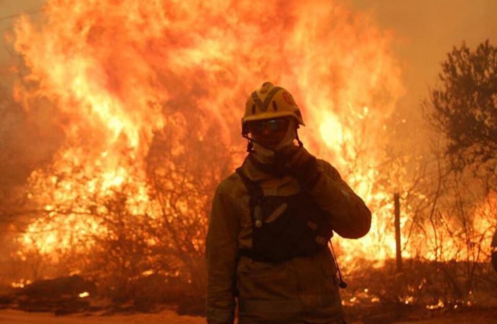 Senador propone que quienes dañen el ambiente cumplan hasta 30 años de prisión
