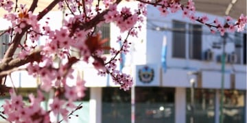 La casa de leyes municipal de Maipú deberá renovar seis bancas en estas elecciones legislativas.