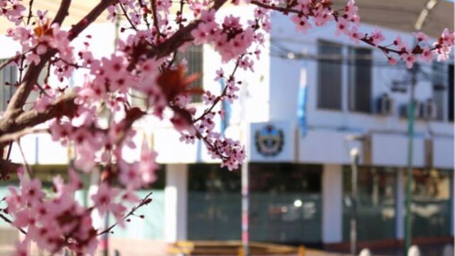 La casa de leyes municipal de Maipú deberá renovar seis bancas en estas elecciones legislativas.