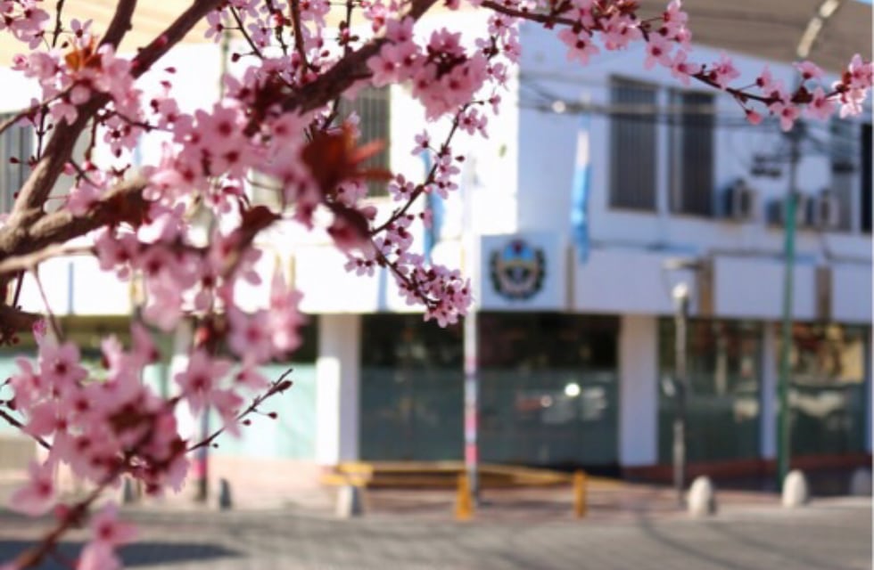 Elecciones 2021: Así quedaron las listas de candidatos a concejal para Maipú