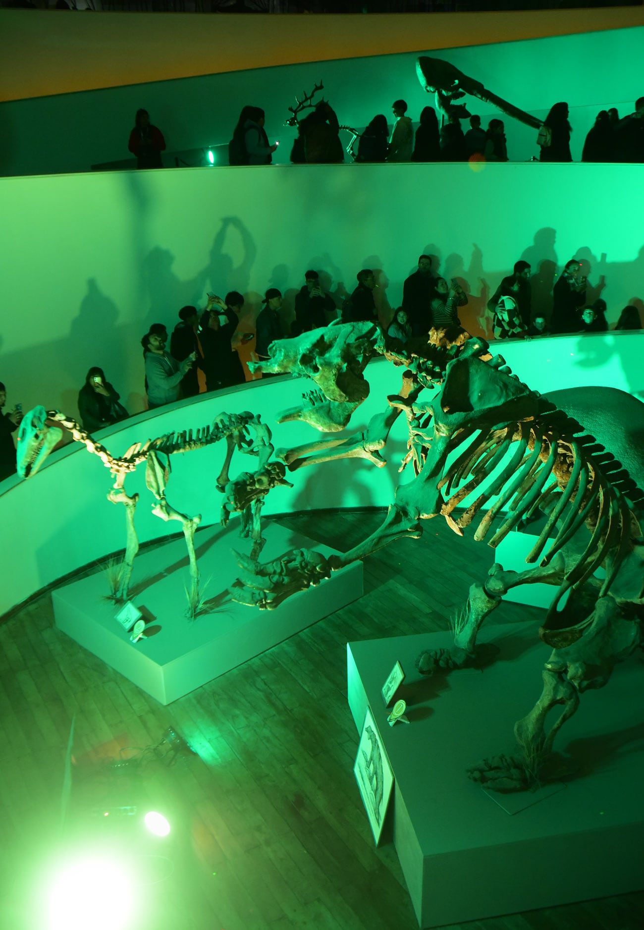 La ciudad de Córdoba celebró una nueva edición de La Noche de los Museos. Los principales espacios culturales abrieron sus puertas de manera gratuita con actividades que convocaron a miles de visitantes.  (Nicolás Bravo / La Voz)