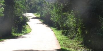 La mujer sufrió solo heridas leves gracias al auxilio de guías turísticos que frenaron el ataque.