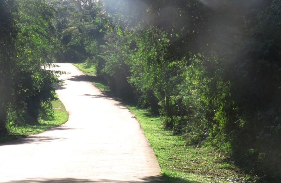 Iguazú: atacaron a una ciclista que paseaba por las 600 hectáreas