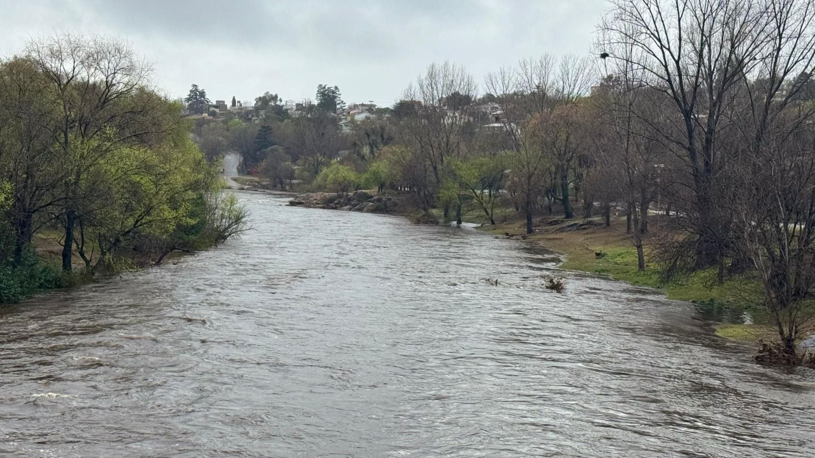 CRECIENTE EN VILLA CARLOS PAZ:
