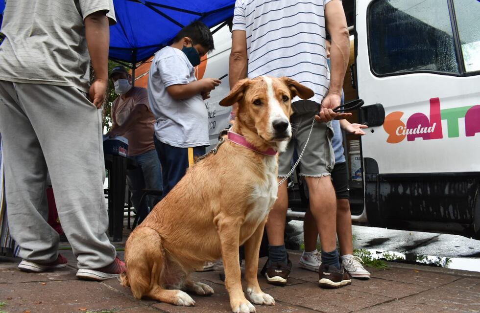 Conocé los destinos del Móvil Quirúrgico en la primera semana de marzo