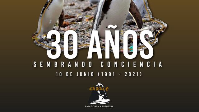 Creada por un grupo de amigos, hoy es una de las primeras instituciones destacadas de cuidado del medioambiente en la región.