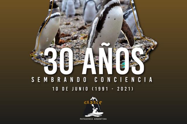 Creada por un grupo de amigos, hoy es una de las primeras instituciones destacadas de cuidado del medioambiente en la región.