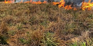 Incendio de pastizales Bomberos de Arroyito