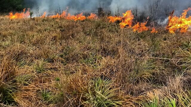Incendio de pastizales Bomberos de Arroyito