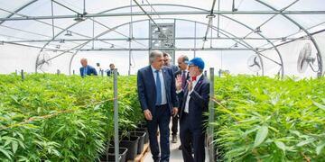 El embajador canadiense David Usher fue uno de los diplomáticos con asiento en el país que visitó el proyecto estatal de producción de derivados medicinales de cannabis que lleva adelante la sociedad estatal Cannava en la finca El Pongo.