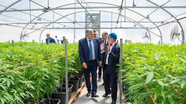 El embajador canadiense David Usher fue uno de los diplomáticos con asiento en el país que visitó el proyecto estatal de producción de derivados medicinales de cannabis que lleva adelante la sociedad estatal Cannava en la finca El Pongo.