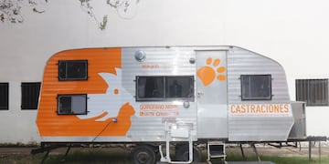 El quirófano móvil realiza las castraciones gratuitas en el distrito sur de la ciudad.