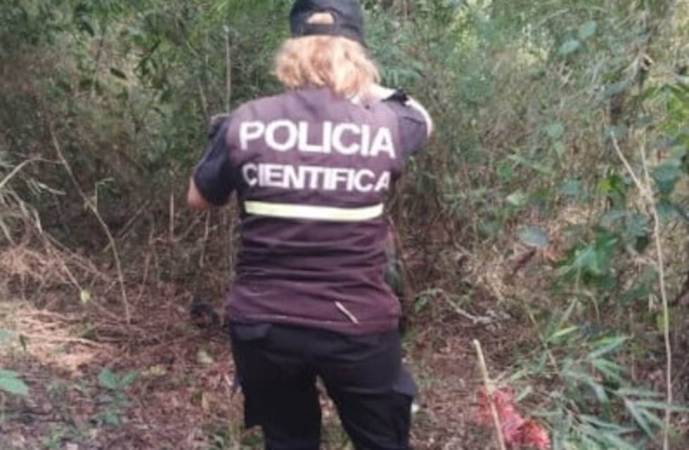 Hallazgo de un hombre sin vida en Aristóbulo del Valle: investigan un posible suicidio