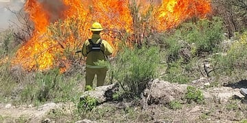 Incendio en Estancia Vieja