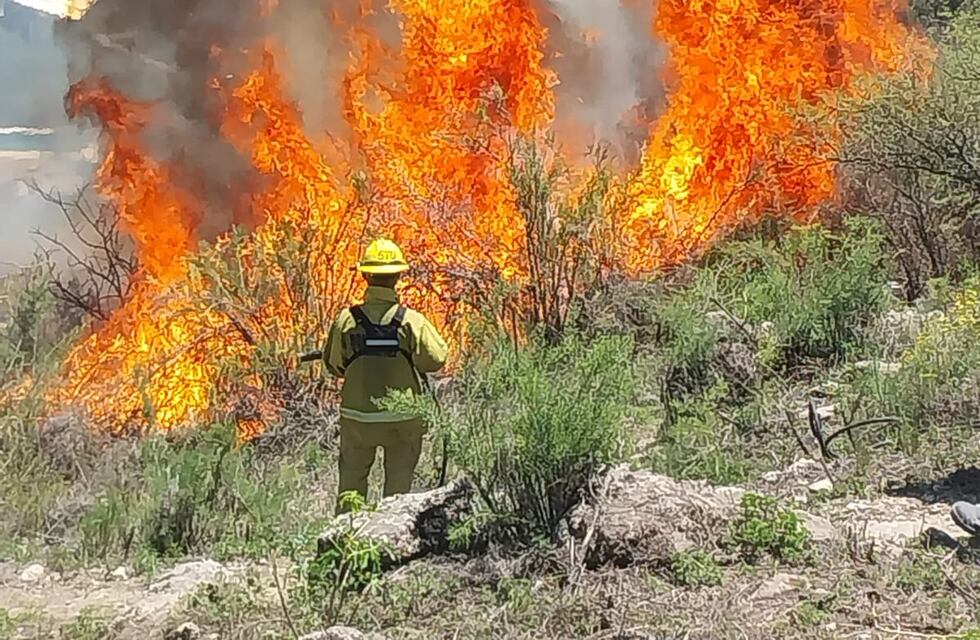 Un incendio amenazó en Estancia Vieja, los bomberos lograron controlar el fuego