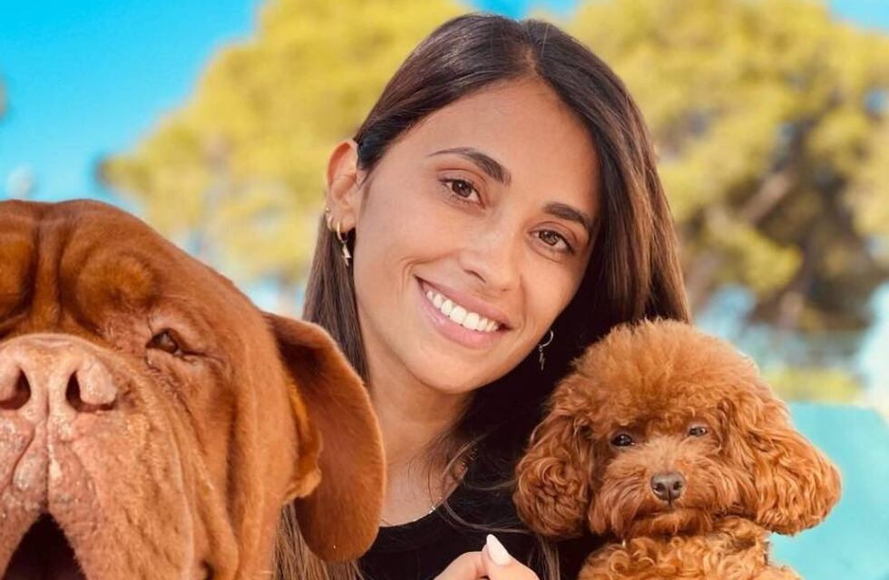 Antonela Roccuzzo enterneció a sus fans de Instagram con su perro Abú