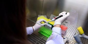 Qué efectos tiene el aceite de cannabis en el tratamiento de la hipertensión arterial.