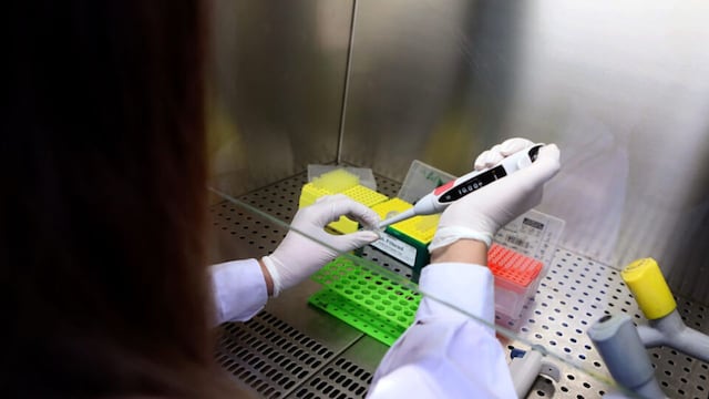Qué efectos tiene el aceite de cannabis en el tratamiento de la hipertensión arterial.