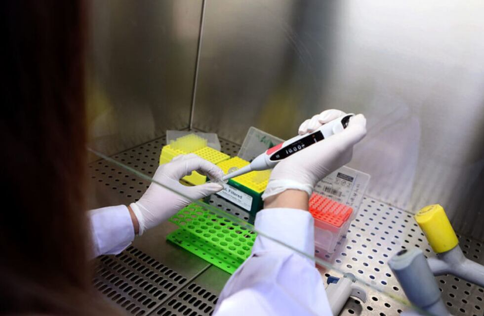 Un estudio demostró que el aceite de cannabis es efectivo contra enfermedades de origen hipertensivo