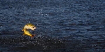 Pesca Deportiva