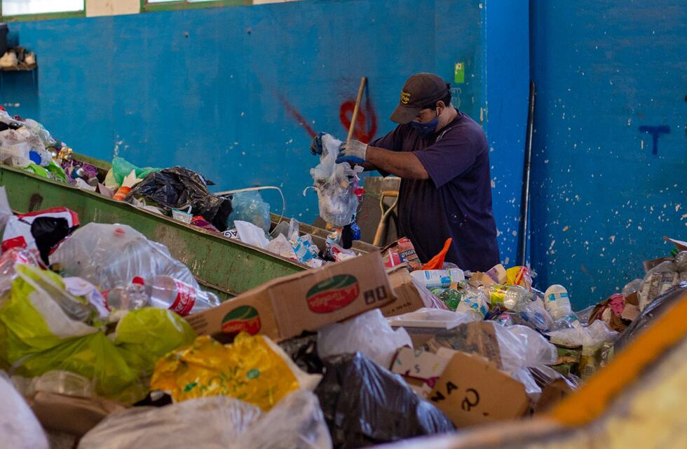 Las empresas frente a una sustentabilidad sin fronteras