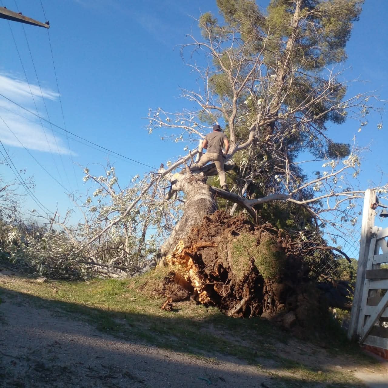 Temporal de viento causó cortes de luz y demoras en la ruta 38 en Punilla