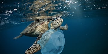 Plástico en el mar: una inteligencia artificial podría colaborar para terminar con esta problemática