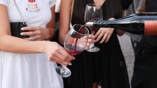 Degustación de vinos y gastronomía gourmet en Córdoba. (Prensa)