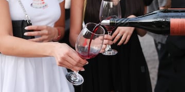 Degustación de vinos y gastronomía gourmet en Córdoba. (Prensa)