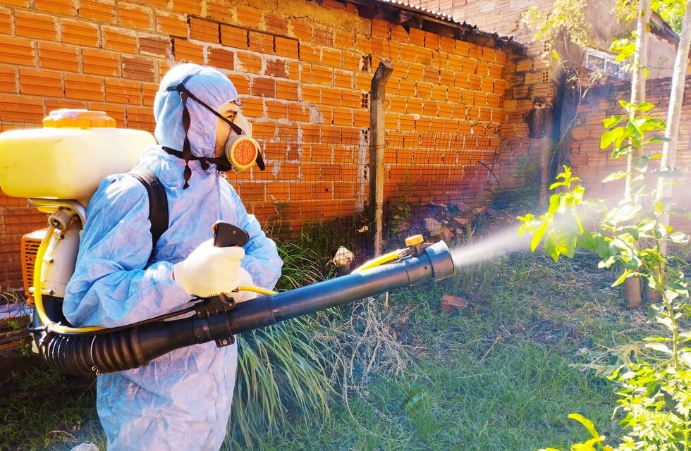 Puerto Iguazú: intensifican la lucha contra el dengue en la ciudad