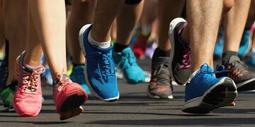 Congreso Internacional Fundamentos Científicos para los Ámbitos profesionales de la Actividad Física.