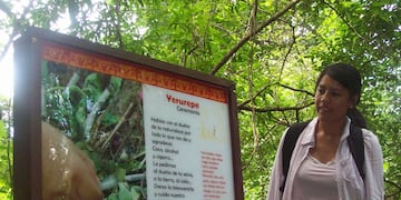 La selva jujeña es un destino con innumerables encantos a lo largo de todo el año.