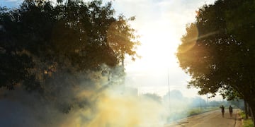 Fumigaciones conta mosquitos en los barrios de Córdoba.