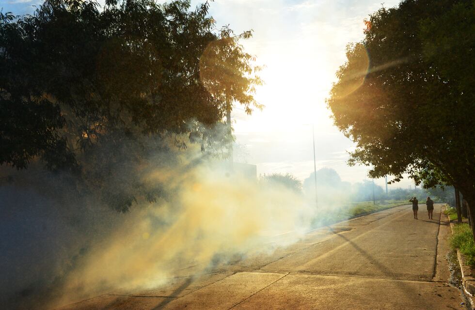 Dengue en Córdoba: en qué barrios de la capital fumigarán este lunes 5 de febrero
