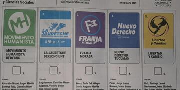 Se realizan las elecciones del estamento estudiantes de la UNT