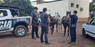 La Policía recupera tres caballos robados en Guaraní.