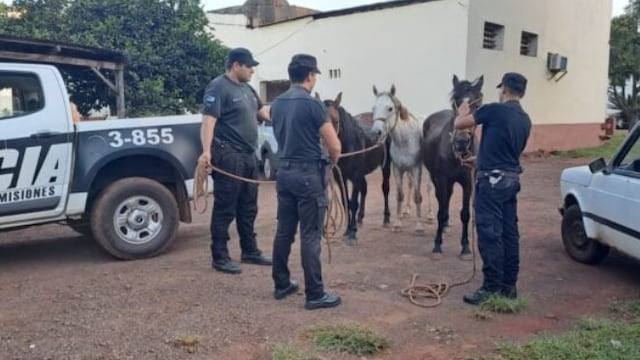 La Policía recupera tres caballos robados en Guaraní.