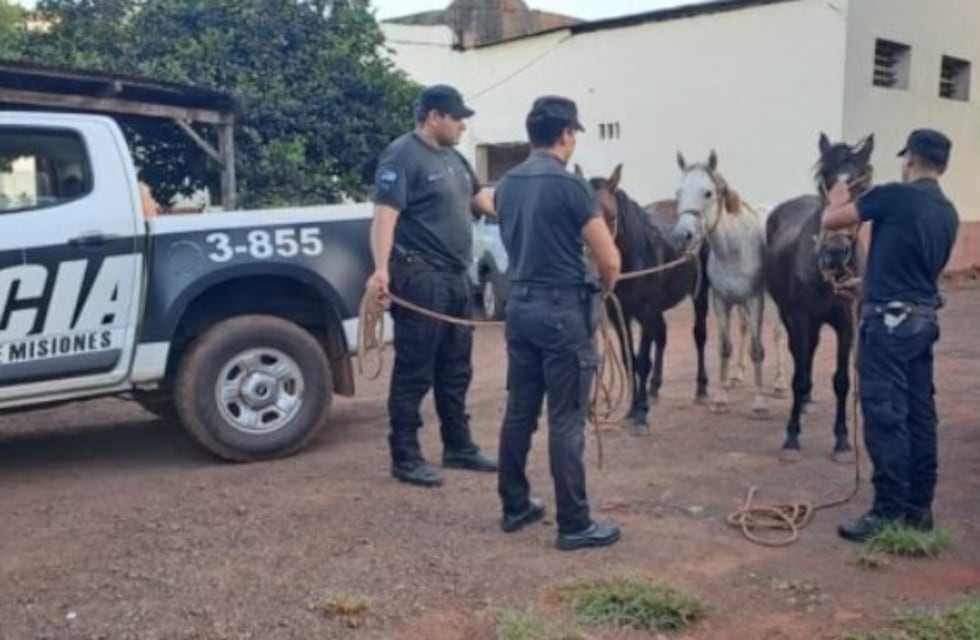 La Policía recupera tres caballos robados en Guaraní