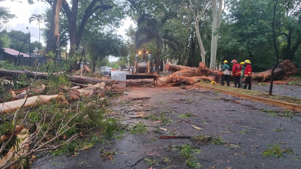 Los vientos alcanzaron los 80 Km/hora.