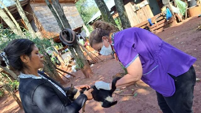 Jornadas de vacunación y charlas sobre rabia paresiante en Puerto Iguazú.